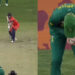 CWC 2023: Heinrich Klaasen collects Gerald Coetzee's bizarre wide delivery at first slip - SA vs NED Match 15 Highlights