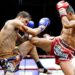 Knowing The Difference: K1 VS Muay Thai