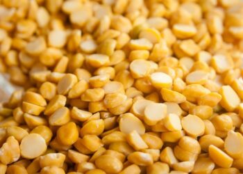 What Is Vegan Protein And How You Can Incorporate It In Your Diet