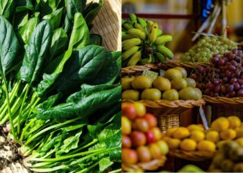 Everyday Nutritional Must-Haves: The Key Vitamins And Minerals To Consume