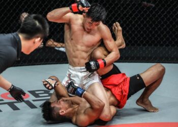 Are Hammer Fists Allowed In MMA?