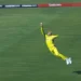 Video of the Day - Champions Trophy 2025: Alex Carey's stunning one-handed catch has Phil Salt walk back - CricTracker