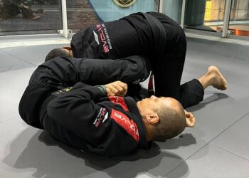 Attacks And Transitions From The Arm Saddle Position