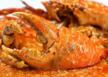 5 Solo Activities You Can Do In Singapore