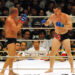Almost! Fedor Emelianenko and Mirko Cro Cop reveal failed 2025 plan to box in Japan