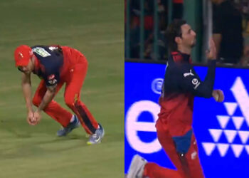 IPL 2026: Video of the Day: Salt, David pull off two blinders within 10 balls to restrict LSG to subpar total