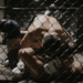 Watch Khazmat Chiamev maul potential future Middleweight title challenger ahead of UFC 328 - ‘I’m no bitch!’