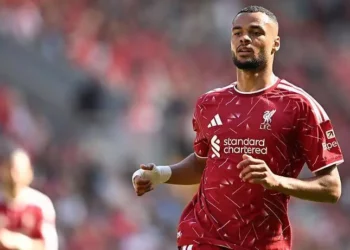 Tottenham Working On £137m Cody Gakpo And Savinho Double Deal