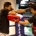 What Is The Muay Thai Dracula Guard?